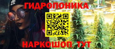 гидра Тулун