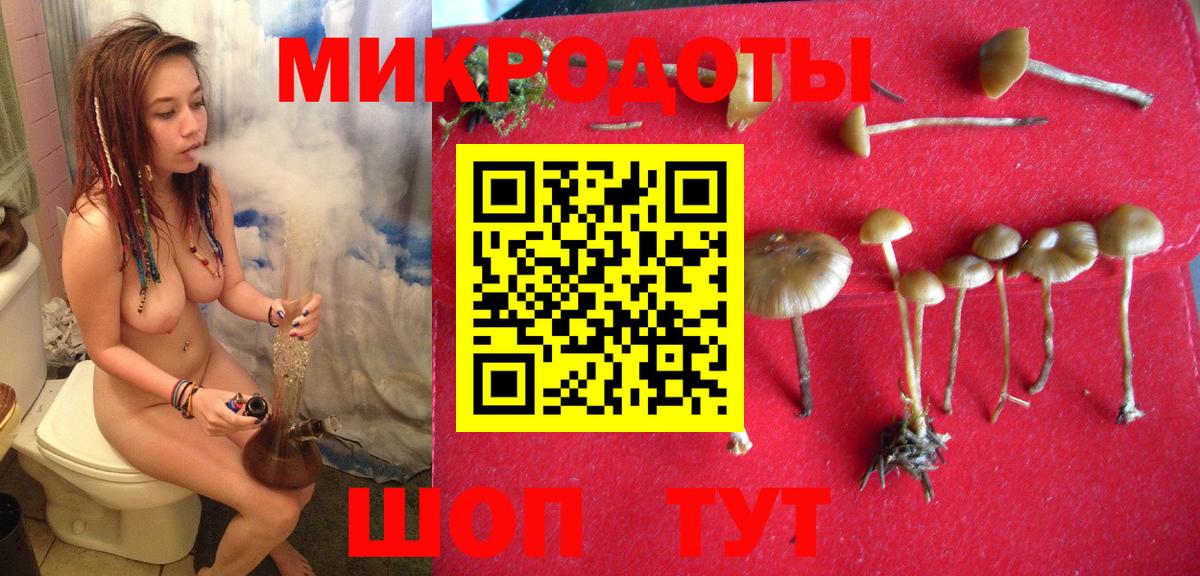 Псилоцибиновые грибы Magic Shrooms Нерюнгри